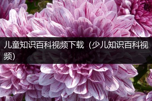 儿童知识百科视频下载（少儿知识百科视频）