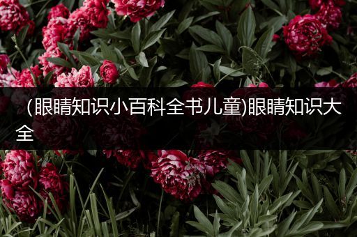 （眼睛知识小百科全书儿童)眼睛知识大全
