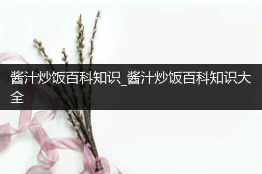 酱汁炒饭百科知识_酱汁炒饭百科知识大全