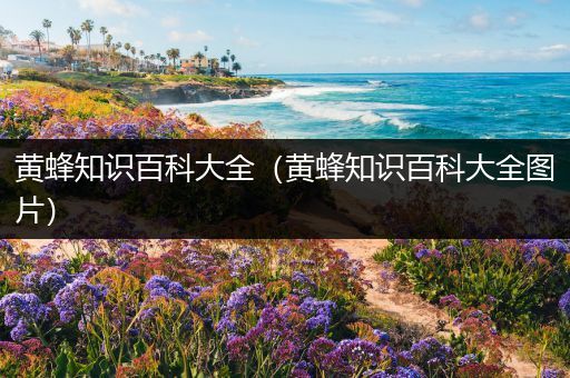 黄蜂知识百科大全（黄蜂知识百科大全图片）
