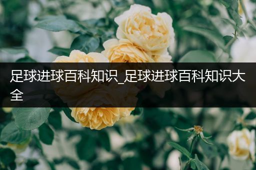 足球进球百科知识_足球进球百科知识大全