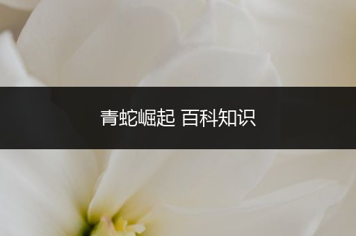 青蛇崛起 百科知识