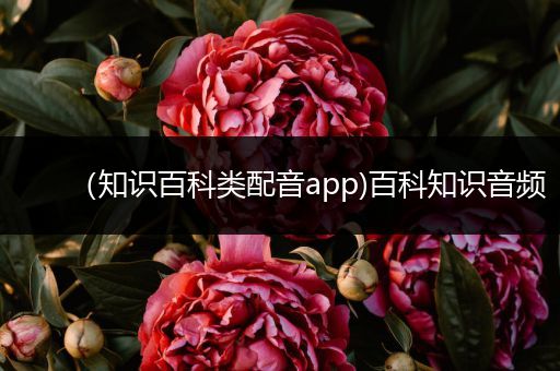 （知识百科类配音app)百科知识音频