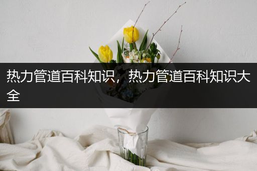 热力管道百科知识，热力管道百科知识大全