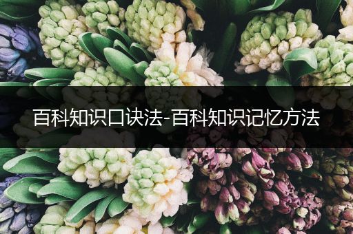 百科知识口诀法-百科知识记忆方法