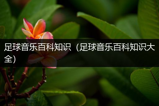 足球音乐百科知识（足球音乐百科知识大全）