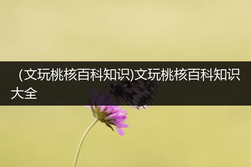 （文玩桃核百科知识)文玩桃核百科知识大全