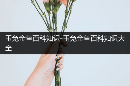 玉兔金鱼百科知识-玉兔金鱼百科知识大全