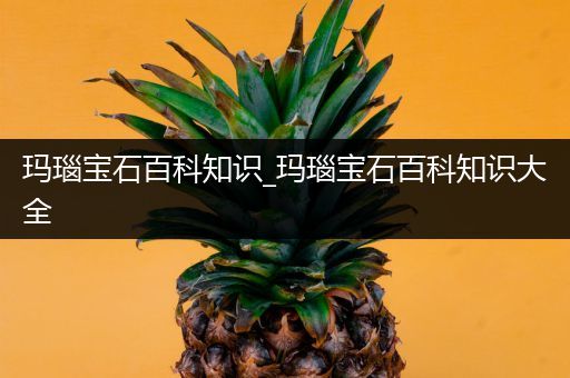 玛瑙宝石百科知识_玛瑙宝石百科知识大全