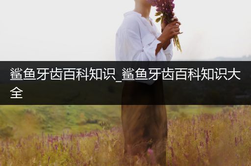 鲨鱼牙齿百科知识_鲨鱼牙齿百科知识大全