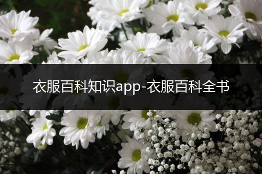 衣服百科知识app-衣服百科全书