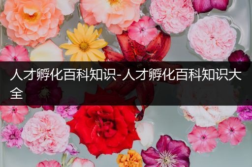 人才孵化百科知识-人才孵化百科知识大全