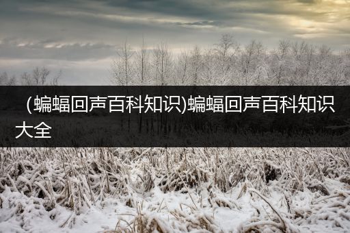 （蝙蝠回声百科知识)蝙蝠回声百科知识大全
