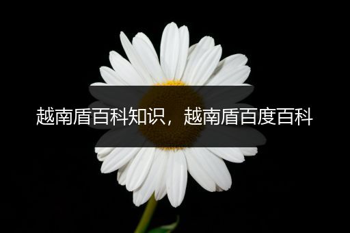 越南盾百科知识，越南盾百度百科