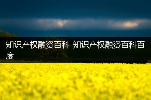 知识产权融资百科-知识产权融资百科百度