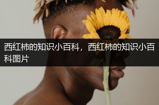 西红柿的知识小百科，西红柿的知识小百科图片