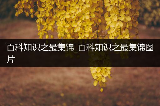 百科知识之最集锦_百科知识之最集锦图片