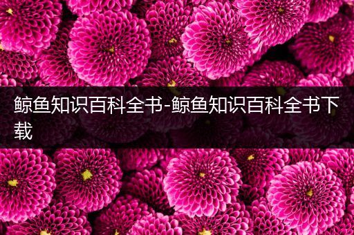 鲸鱼知识百科全书-鲸鱼知识百科全书下载