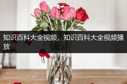 知识百科大全视频，知识百科大全视频播放