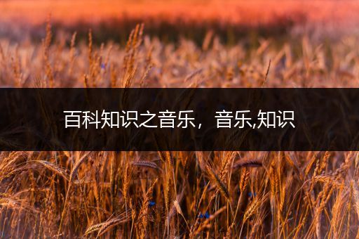 百科知识之音乐，音乐,知识