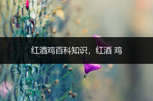 红酒鸡百科知识，红酒 鸡