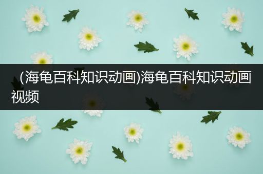 （海龟百科知识动画)海龟百科知识动画视频