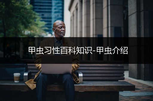 甲虫习性百科知识-甲虫介绍