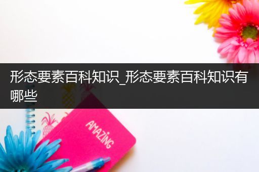 形态要素百科知识_形态要素百科知识有哪些