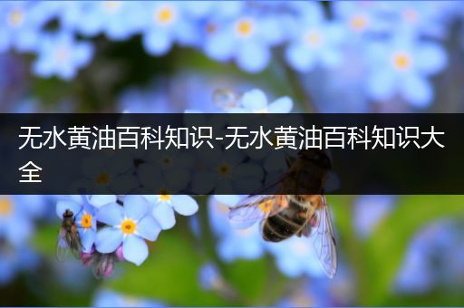 无水黄油百科知识-无水黄油百科知识大全