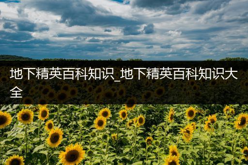 地下精英百科知识_地下精英百科知识大全