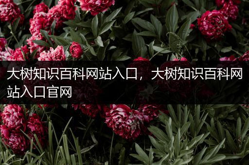 大树知识百科网站入口，大树知识百科网站入口官网