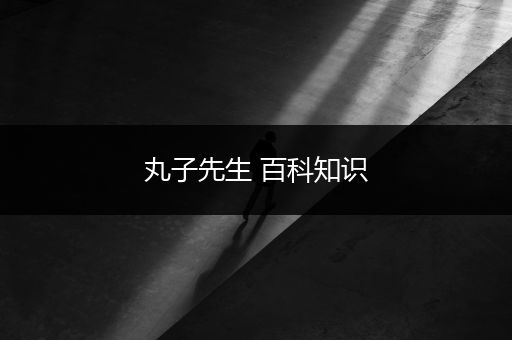 丸子先生 百科知识