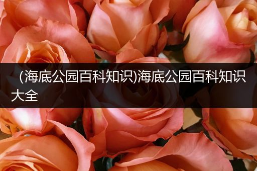（海底公园百科知识)海底公园百科知识大全