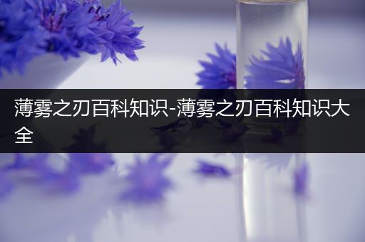 薄雾之刃百科知识-薄雾之刃百科知识大全
