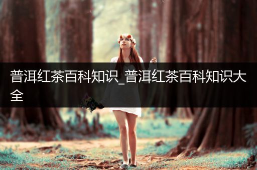 普洱红茶百科知识_普洱红茶百科知识大全