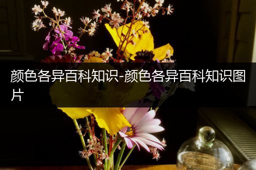 颜色各异百科知识-颜色各异百科知识图片