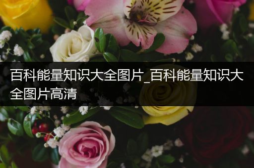 百科能量知识大全图片_百科能量知识大全图片高清