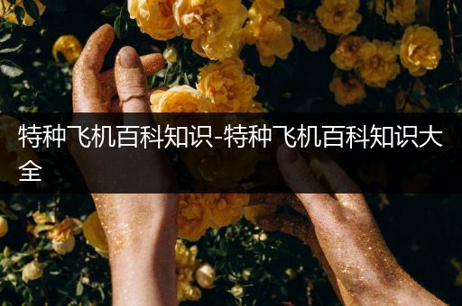 特种飞机百科知识-特种飞机百科知识大全
