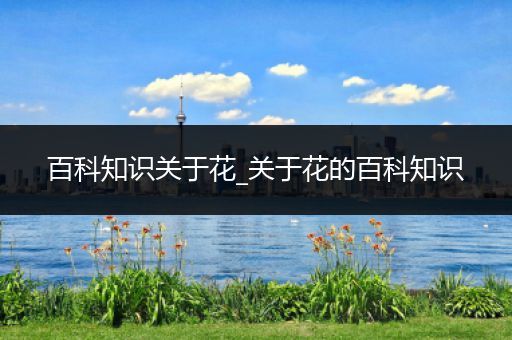 百科知识关于花_关于花的百科知识
