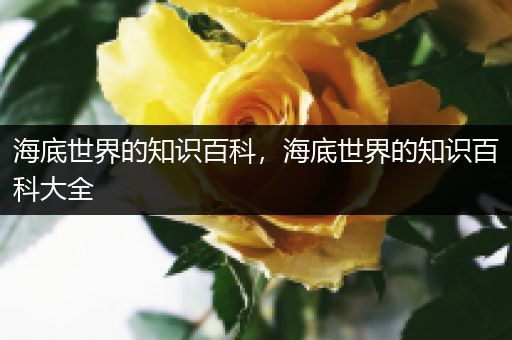 海底世界的知识百科，海底世界的知识百科大全