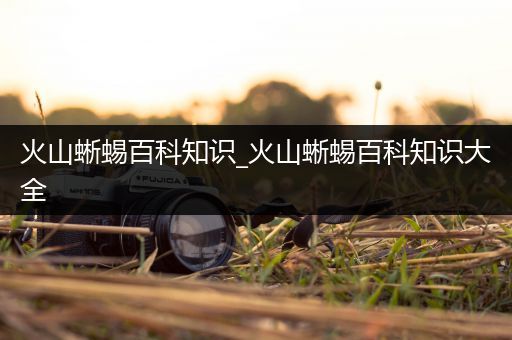 火山蜥蜴百科知识_火山蜥蜴百科知识大全