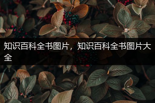 知识百科全书图片，知识百科全书图片大全
