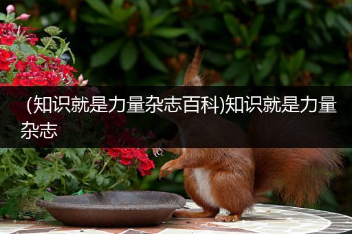 （知识就是力量杂志百科)知识就是力量 杂志
