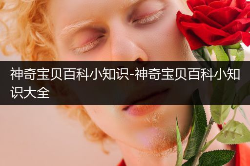 神奇宝贝百科小知识-神奇宝贝百科小知识大全