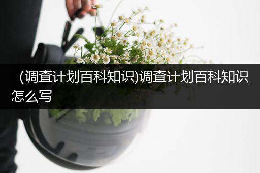 （调查计划百科知识)调查计划百科知识怎么写