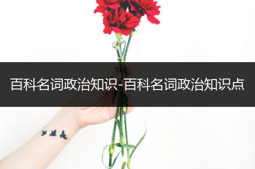 百科名词政治知识-百科名词政治知识点