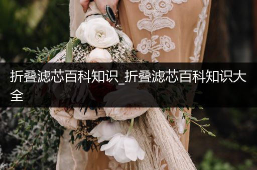 折叠滤芯百科知识_折叠滤芯百科知识大全