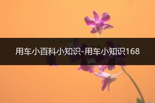 用车小百科小知识-用车小知识168