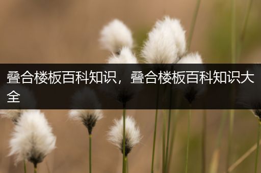 叠合楼板百科知识，叠合楼板百科知识大全