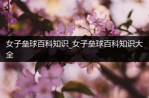 女子垒球百科知识_女子垒球百科知识大全